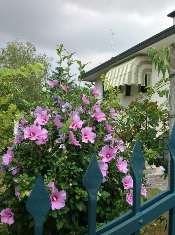 Casa Del Vigneto Villa Spinea Eksteriør bilde